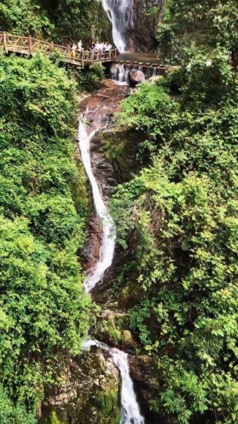 战锤：末世鼠疫2